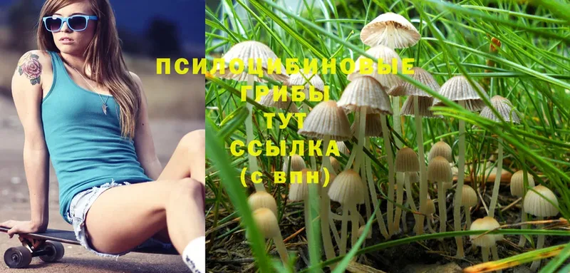 Галлюциногенные грибы Cubensis  как найти наркотики  нарко площадка телеграм  Андреаполь 